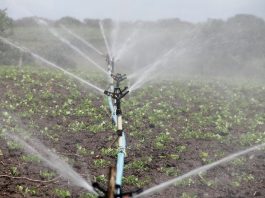 KOP İdaresi Başkanı Şahin: "Akıllı sulama ile yıllık yüzde 25'lere varan enerji tasarrufu sağlanacak"