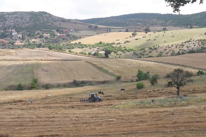 Ulusal Tarım Çalıştayı Sonuç Bildirgesi yayınlandı